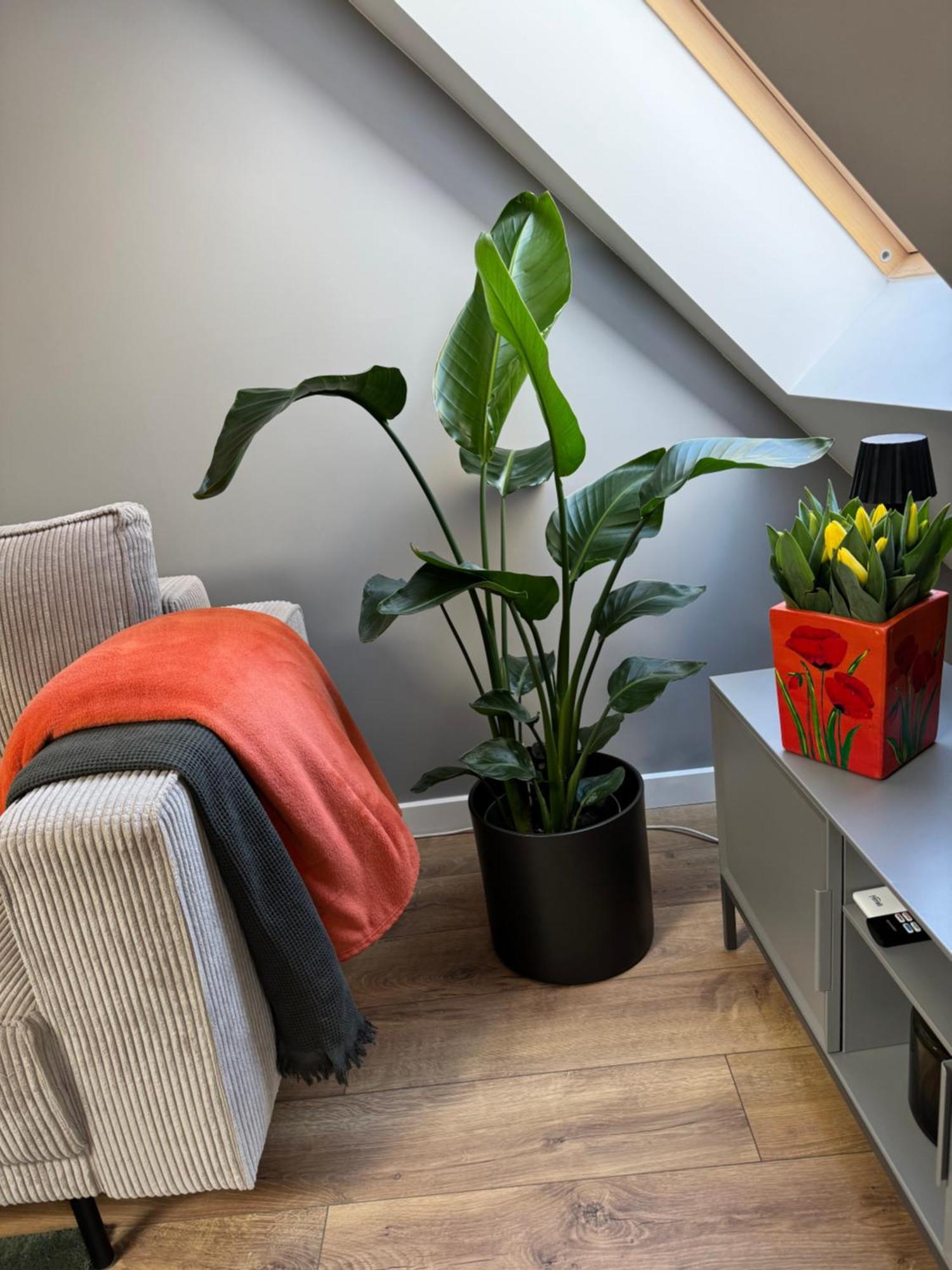 Apartamento Fyrtel Poznań